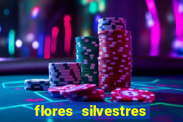 flores silvestres desbravadores desbravadores 25